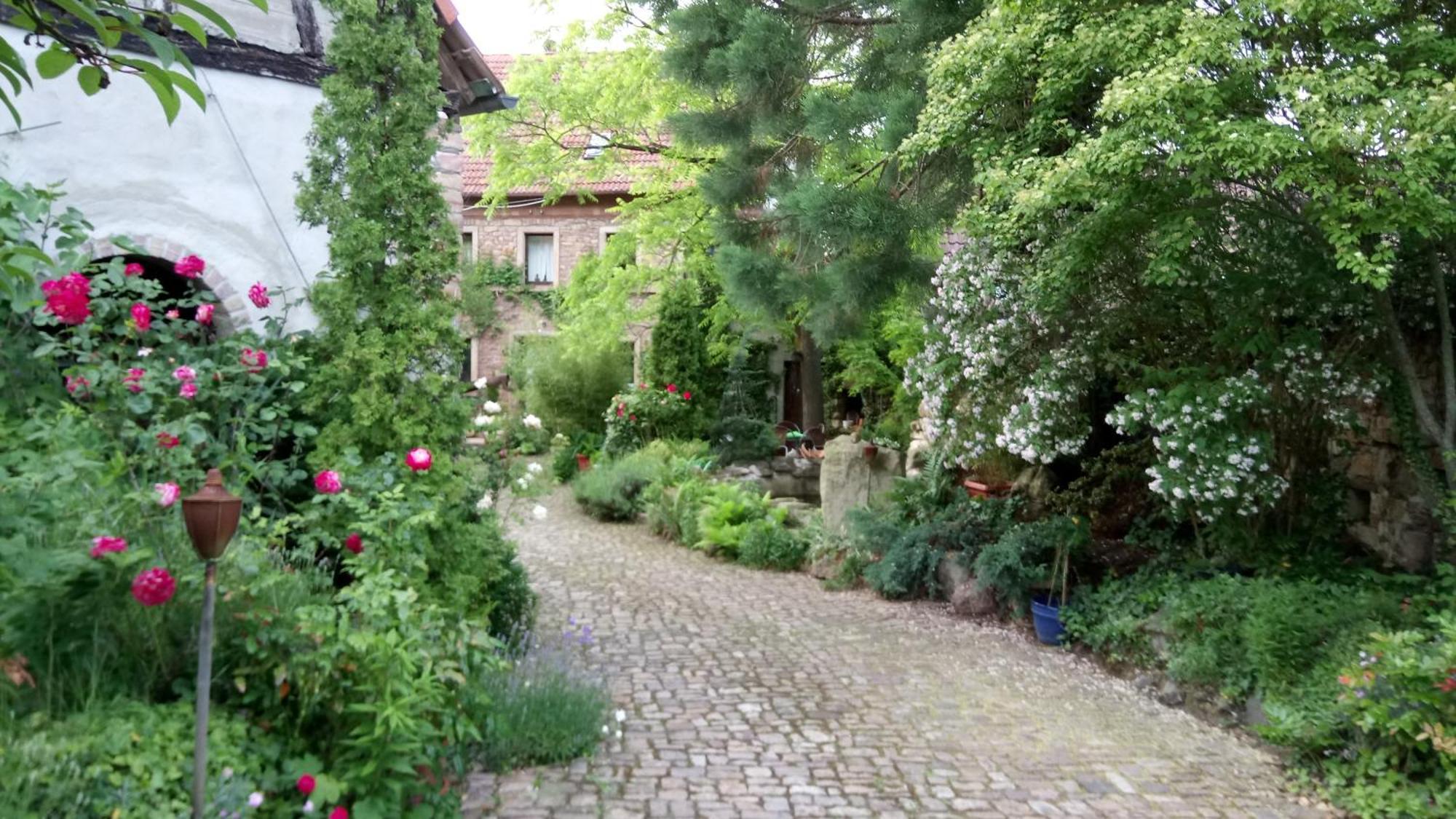 "El Patio" Am Donnersberg Leilighet Dannenfels Eksteriør bilde