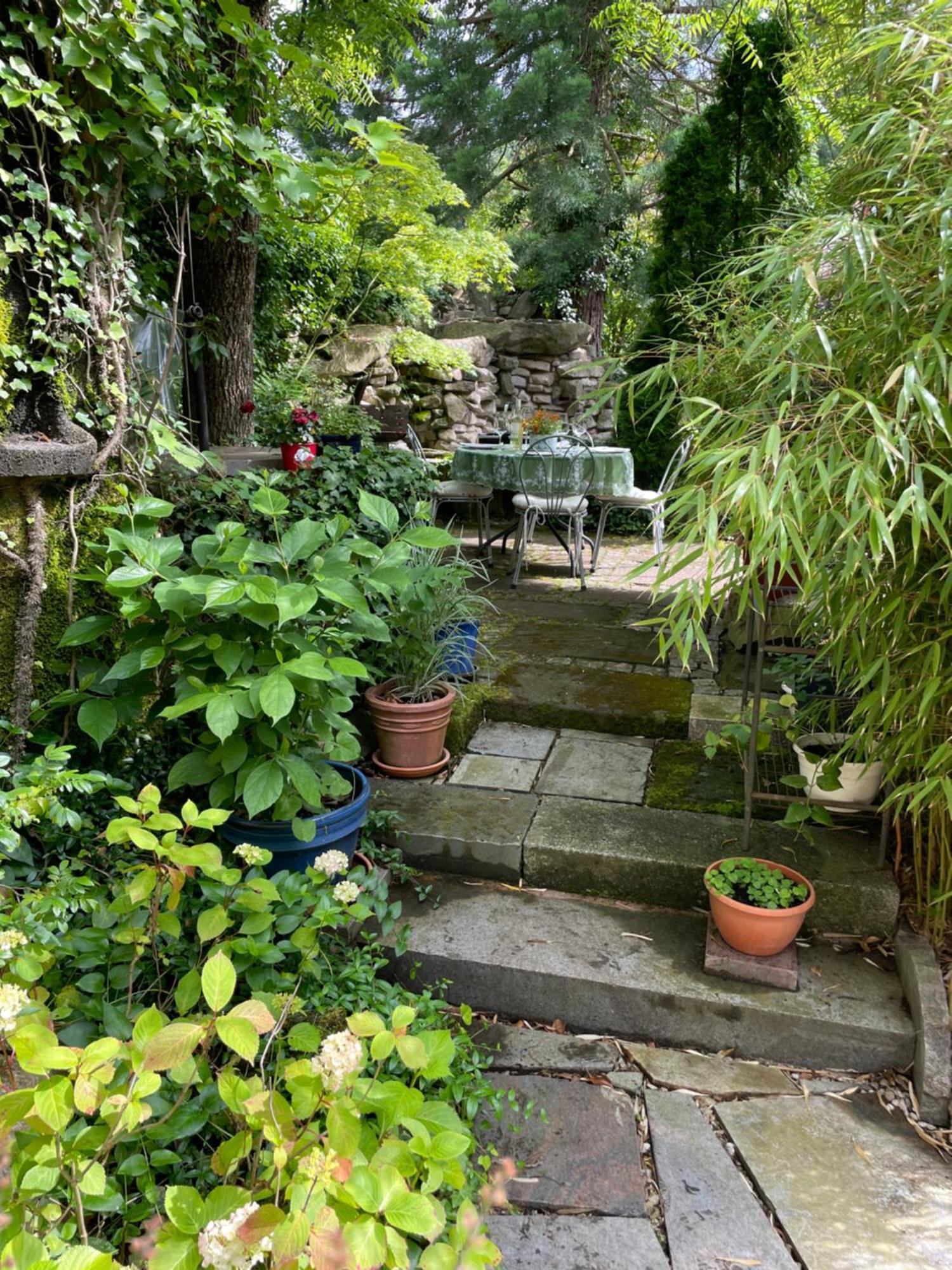 "El Patio" Am Donnersberg Leilighet Dannenfels Eksteriør bilde