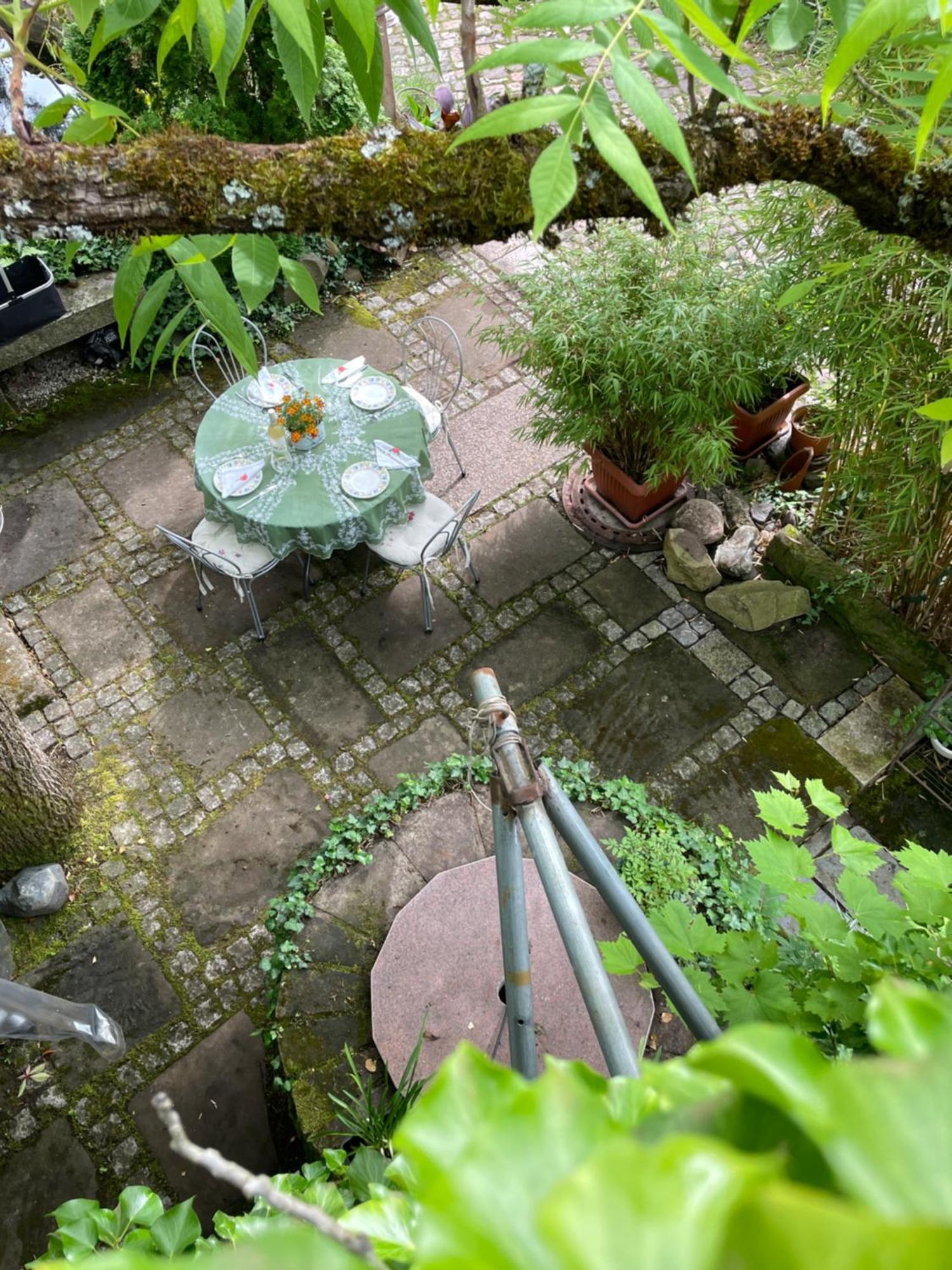 "El Patio" Am Donnersberg Leilighet Dannenfels Eksteriør bilde