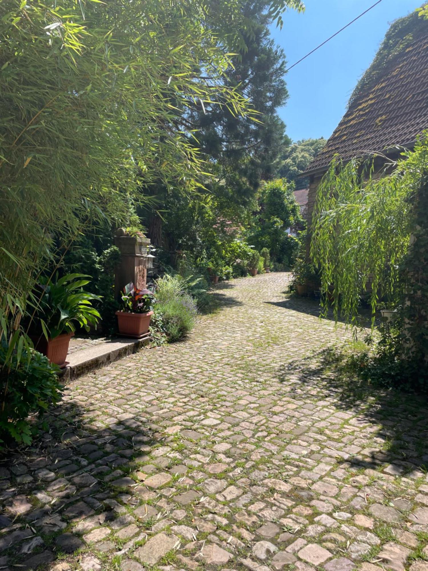 "El Patio" Am Donnersberg Leilighet Dannenfels Eksteriør bilde