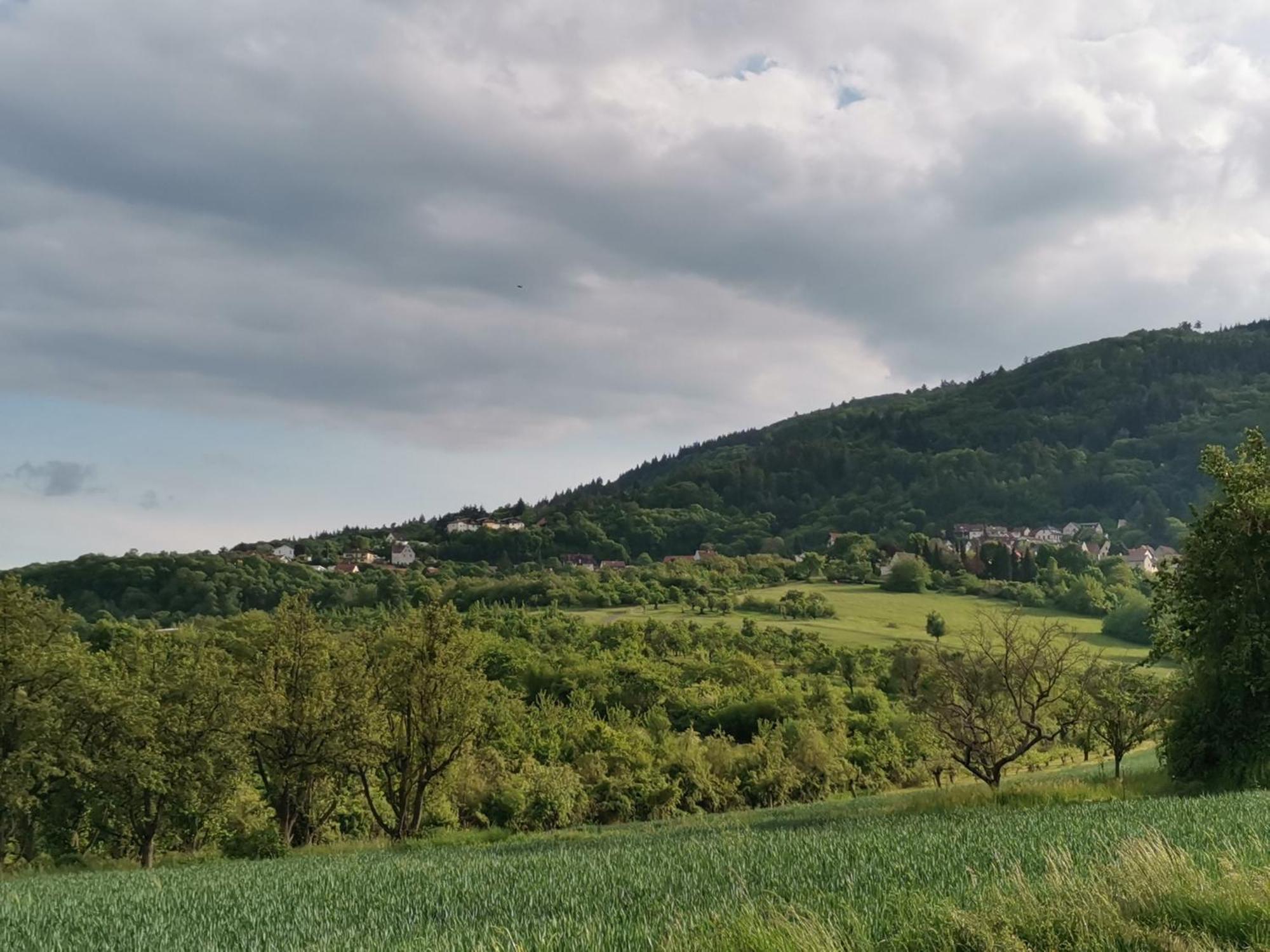 "El Patio" Am Donnersberg Leilighet Dannenfels Eksteriør bilde
