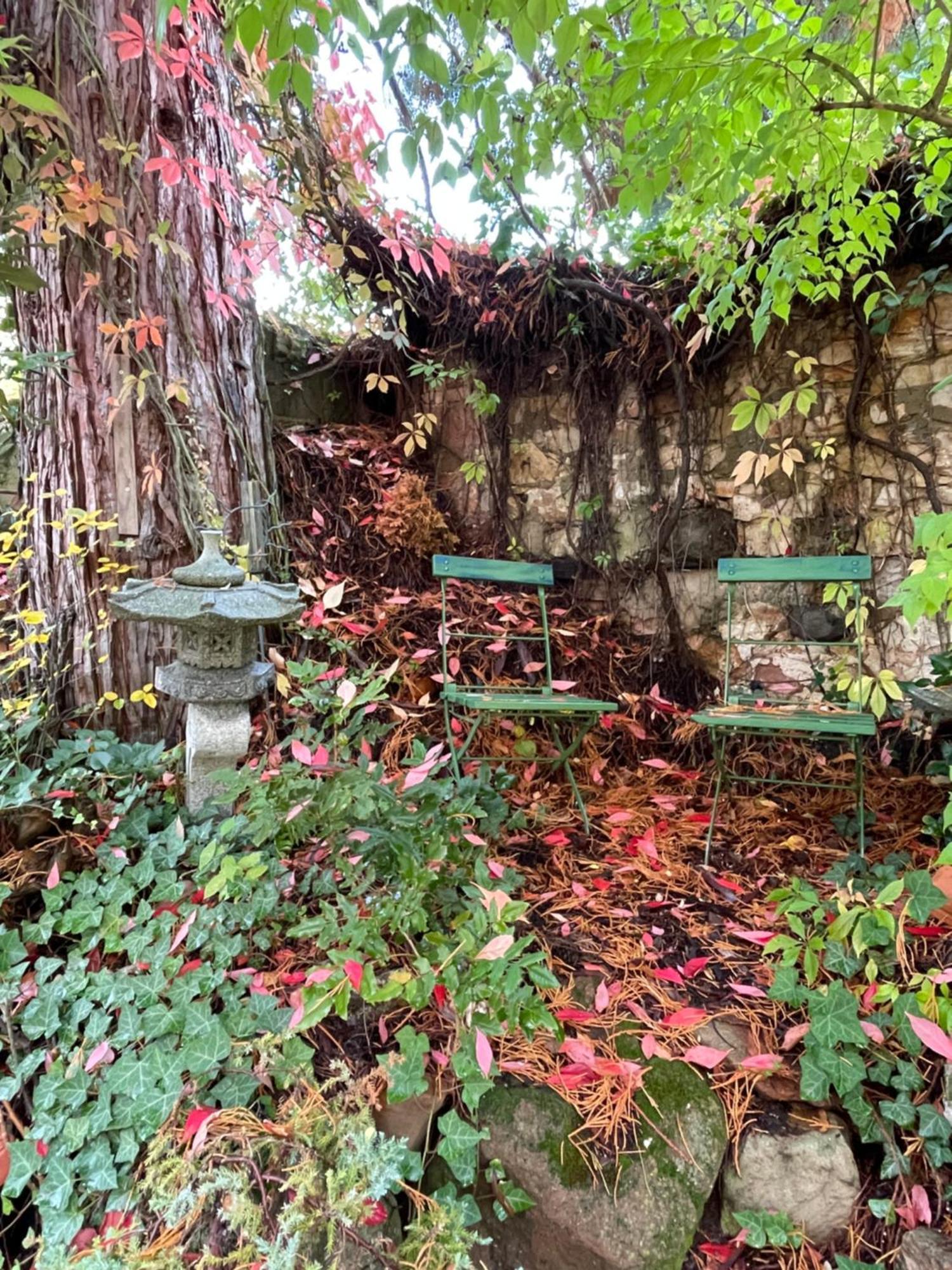 "El Patio" Am Donnersberg Leilighet Dannenfels Eksteriør bilde